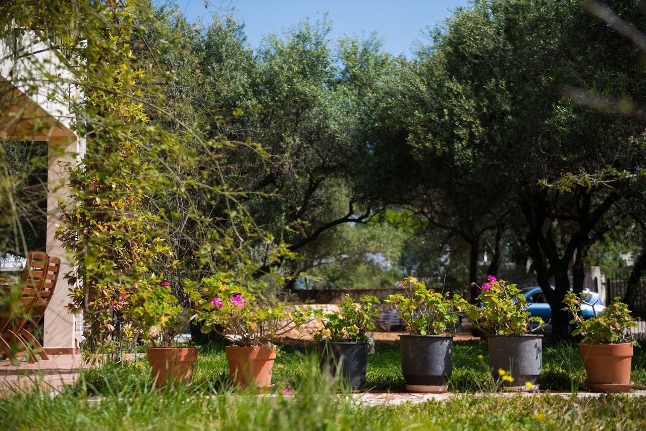 Koxyli Studios & Apartments Kaligata Dış mekan fotoğraf