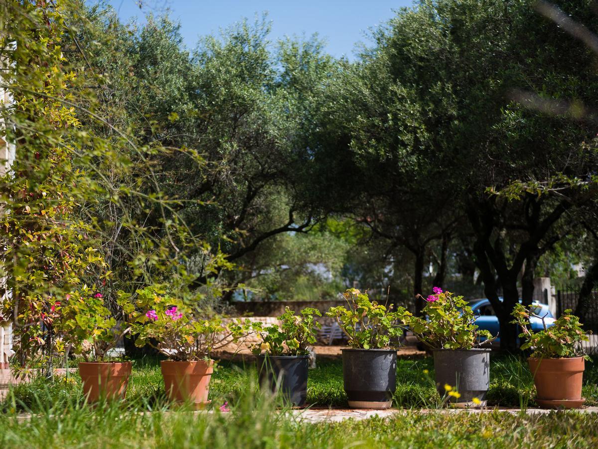 Koxyli Studios & Apartments Kaligata Dış mekan fotoğraf
